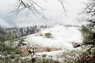 Dự báo thời tiết 10 ngày tới 9-19/12: Không khí lạnh hoạt động mạnh, thời tiết khô hanh và rét buốt, từ ngày 14 sẽ có mưa