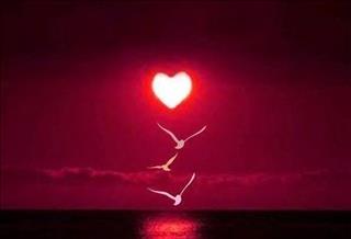 Tử vi tuần mới từ 4/3 – 10/3/2019 của 12 con giáp: Thìn gặp xui, Dậu kiên cường