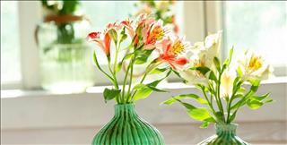 Top cung hoàng đạo may mắn HẾT PHẦN THIÊN HẠ nửa cuối tháng 2/2019