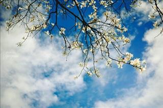 Tin tức tổng hợp ngày 2/3/2019: Người mệnh Nhất Bạch nên tận dụng cơ hội