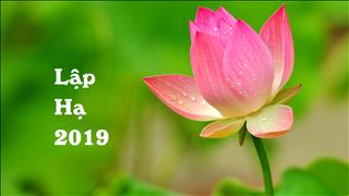 Lập Hạ 2019 là ngày nào? Nên và không nên làm gì trong tiết Lập Hạ?