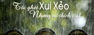Tử vi hàng ngày 17/3/2019 về độ hên xui của 12 con giáp: Mùi đen đủ đường, Dậu vẫn còn may mắn