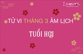 Tử vi tháng 3/2019 tuổi Hợi (Âm lịch): Tài năng nhưng cẩn thận tiểu nhân