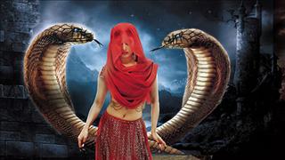 Bí ẩn về những CÁI CHẾT liên tiếp khi THẦN RẮN TRẢ THÙ