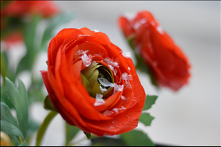 Tử vi ngày 5/4/2019 thứ 6 của 12 con giáp: Mão sai lầm, Hợi tổn thương