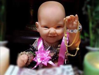 Tìm hiểu các loại Kuman Thong đang bán rộng rãi tại Thái Lan