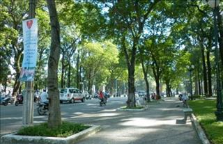 Dự báo thời tiết 3 ngày tới 10-12/3: Miền Bắc có mưa vài nơi, đêm trời rét