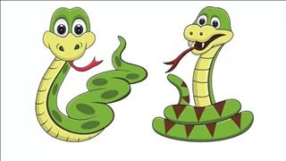 Rắn bò vào nhà là hiện tượng gì? Tốt hay xấu? Nên làm gì và không nên làm gì?