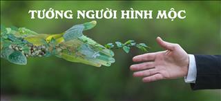 Người hình Mộc có nét tướng ra sao, vận mệnh thế nào theo nhân tướng học