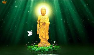 Lời Phật dạy về an nhiên giúp bạn mạnh mẽ trước mọi sóng gió