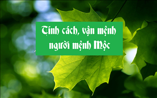 Bật mí tính cách, đặc điểm, vận mệnh người mệnh Mộc chuẩn xác bất ngờ
