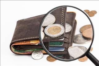 Tử vi hàng ngày 29/4/2019 về tiền bạc của 12 con giáp: Sửu muộn phiền, Tuất rạng rỡ