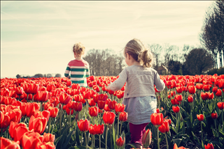 Tử vi thứ 6 ngày 12/4/2019 của 12 con giáp: Tý lận đận, Dần may mắn