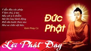 Lời Phật dạy về đạo làm người không phải ai cũng thấu tỏ