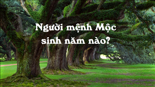 Người mệnh Mộc sinh năm nào? Người mệnh Mộc tuổi gì?