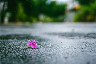 Dự báo thời tiết 10 ngày tới 8/4-18/4: Cả nước xuất hiện những cơn mưa rào bất chợt xen lẫn nắng nóng