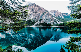 Tử vi Chủ nhật ngày 19/5/2019 của 12 con giáp: Sửu gặp tiểu nhân, Hợi nên cẩn thận