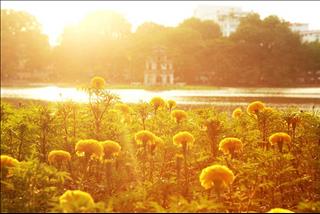 Dự báo thời tiết 3 ngày tới 24-26/5: Nắng nóng quay trở lại