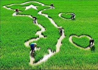 Tử vi Thứ 2 ngày 27/5/2019 của 12 cung hoàng đạo: Bạch Dương tỉnh táo, Song Tử xáo trộn