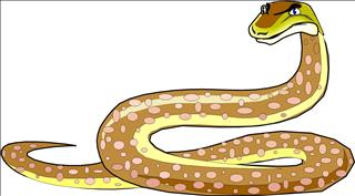 Mơ thấy trăn: Giấc mơ thú vị liên quan đến “chuyện ấy”