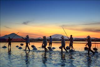 Tử vi thứ 5 ngày 20/6/2019 của 12 con giáp: Dần trắc trở, Ngọ buồn tình