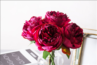 Tử vi thứ 2 ngày 17/6/2019 của 12 con giáp: Sửu may mắn, Hợi thăng tiến