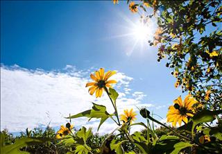 Dự báo thời tiết 3 ngày tới 18-20/6: Nắng nóng diện rộng tại Trung Bộ, mưa dông ở Bắc Bộ