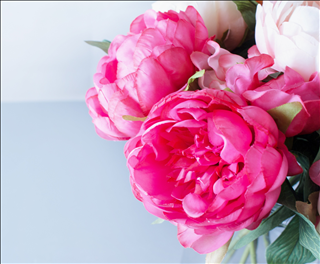 Tử vi Thứ 4 ngày 19/6/2019 của 12 cung hoàng đạo: Bạch Dương bốc đồng, Song Ngư xui xẻo