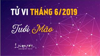 Tử vi tháng 6/2019 tuổi Mão (Âm lịch): Tình cảm khởi sắc, đón nhiều tin vui