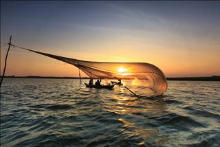 Tử vi thứ 6 ngày 14/6/2019 của 12 cung hoàng đạo: Kim Ngưu mộng mơ, Nhân Mã nhạy cảm