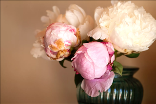 Tử vi thứ 6 ngày 7/6/2019 của 12 con giáp: Mùi may mắn, Sửu vượng tài