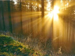 Dự báo thời tiết 3 ngày tới 12-14/7: Tin nắng nóng mới nhất tại Bắc Bộ