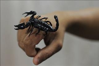 5 câu chuyện cuộc sống về sự giác ngộ: Càng hiểu sớm, cuộc đời càng “dễ thở”