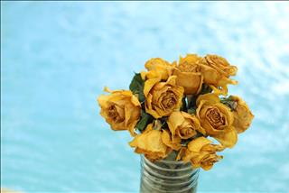 Điểm danh 4 chòm sao cẩu thả, nên thay đổi để hoàn thiện bản thân