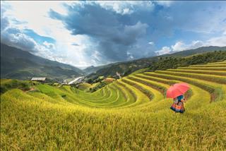 Tử vi thứ 3 ngày 6/8/2019 của 12 con giáp: Mão hạnh phúc, Dậu bị giới hạn