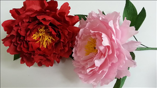 Tử vi Thứ 4 ngày 17/7/2019 của 12 cung hoàng đạo: Bạch Dương tiêu hoang, Song Tử làm việc tốt