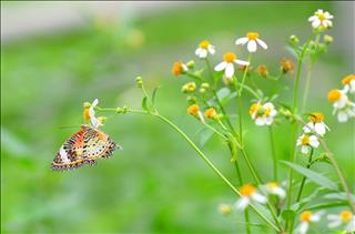 Tử vi Thứ 2 ngày 22/7/2019 của 12 cung hoàng đạo: Bạch Dương can đảm, Cự Giải yên ấm