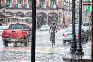 Tử vi thứ 4 ngày 31/7/2019 của 12 con giáp: Thìn bị phản bội, Tuất trách nhiệm