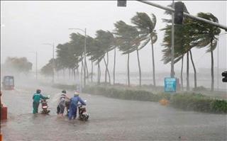Tin bão gần bờ: Bão số 3 đang di chuyển nhanh vào đất liền