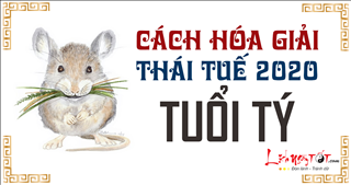 Cách hóa giải Thái Tuế 2020 cho tuổi Tý: Bí quyết hiệu quả để cải thiện vận mệnh