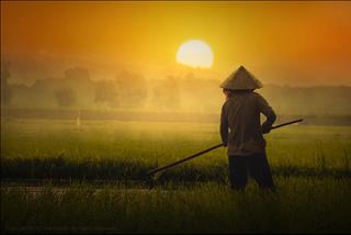 Dự báo thời tiết 3 ngày tới 17-19/8: Miền Trung nắng gắt, miền Bắc mưa dông