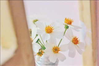 Tử vi Thứ 4 ngày 28/8/2019 của 12 cung hoàng đạo: Ma Kết bất ngờ, Bạch Dương nên bình tĩnh