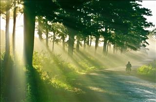 Dự báo thời tiết 3 ngày tới 7-9/8: Cả nước ngày nắng, chiều tối có mưa rào và dông rải rác