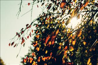 Dự báo thời tiết 10 ngày tới 24/9-3/10: Miền Bắc trời nắng, miền Nam mưa dông vài nơi