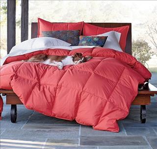 Giấc mơ về "chăn" là giấc mơ ấm áp