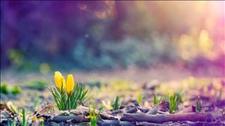 Tử vi Thứ 4 ngày 4/9/2019 của 12 cung hoàng đạo: Song Tử chán nản, Xử Nữ thất vọng