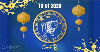 Tử vi tuổi Hợi năm Canh Tý 2020: Tình tiền bất ổn, tổn thương chực chờ