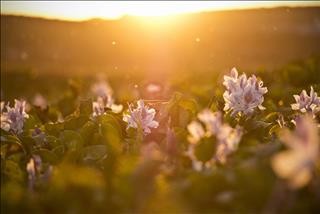 Dự báo thời tiết 3 ngày tới 7-9/9: Miền Bắc có nơi nắng nóng, miền Trung mưa lũ giảm nhanh