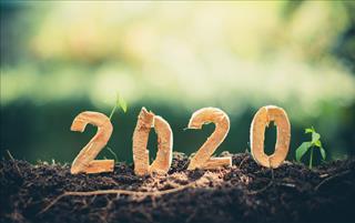 Tử vi thứ 7 ngày 25/1/2020 của 12 con giáp: Ngày đầu năm, tuổi Sửu sung túc