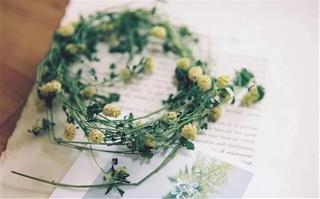 Tử vi thứ 5 ngày 6/2/2020 của 12 con giáp: Thân tiêu cực, Tuất vướng thị phi